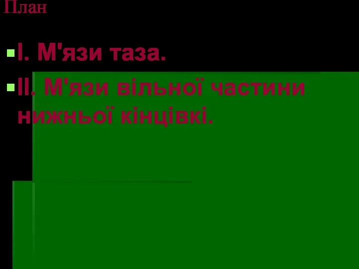 План І. М'язи тазa. ІІ. М'язи вільної частини нижньої кінцівкі.