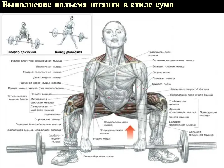 Выполнение подъема штанги в стиле сумо