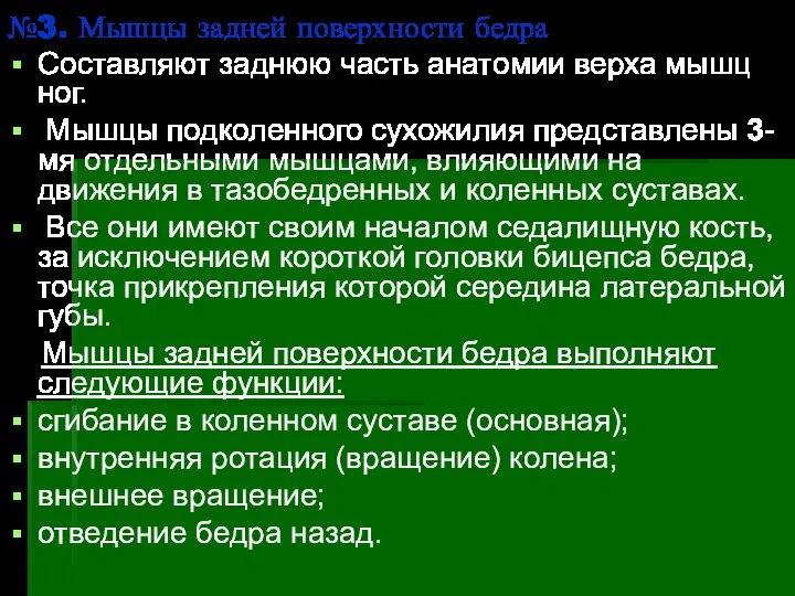 №3. Мышцы задней поверхности бедра Составляют заднюю часть анатомии верха мышц