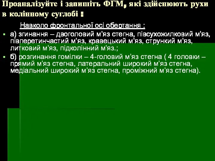 Проаналізуйте і запишіть ФГМ, які здійснюють рухи в колінному суглобі :