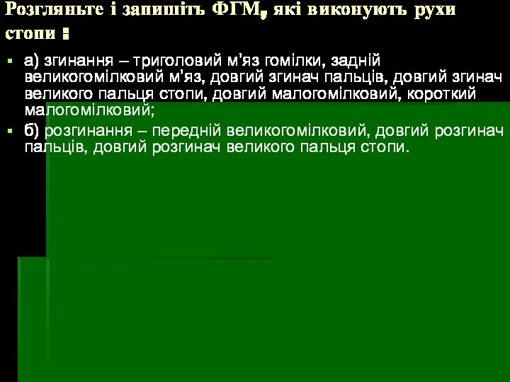 Розгляньте і запишіть ФГМ, які виконують рухи стопи : а) згинання