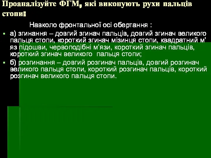 Проаналізуйте ФГМ, які виконують рухи пальців стопи: Навколо фронтальної осі обертання