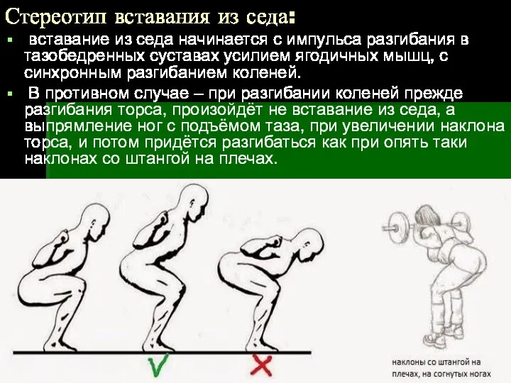 Стереотип вставания из седа: вставание из седа начинается с импульса разгибания