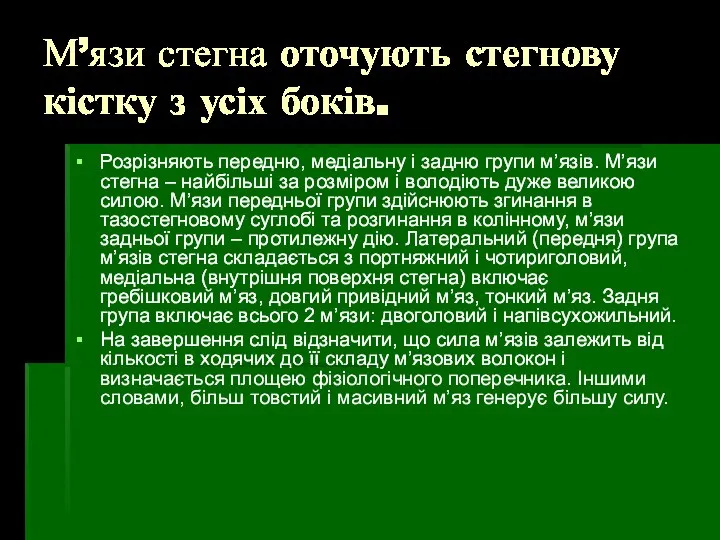 М’язи стегна оточують стегнову кістку з усіх боків. Розрізняють передню, медіальну