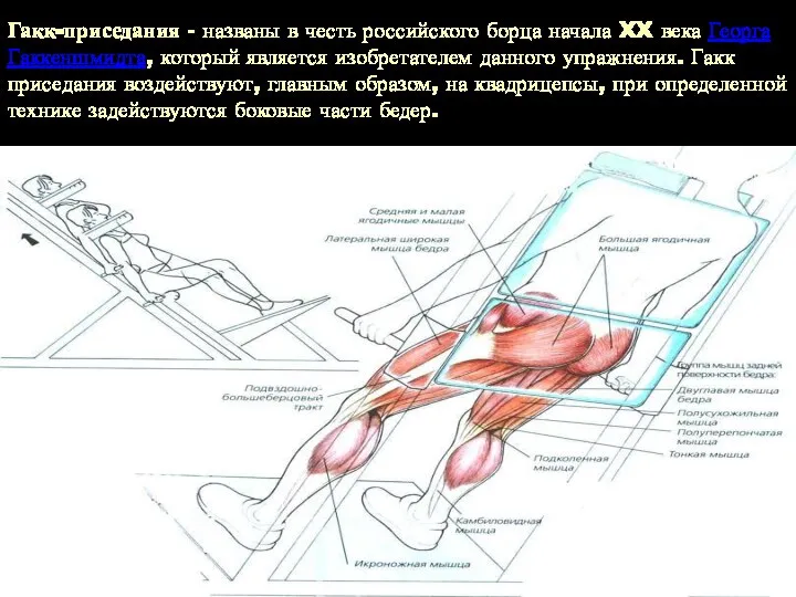 Гакк-приседания - названы в честь российского борца начала XX века Георга