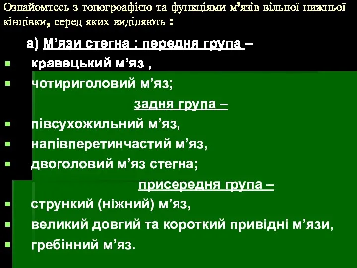 Ознайомтесь з топогроафією та функціями м’язів вільної нижньої кінцівки, серед яких