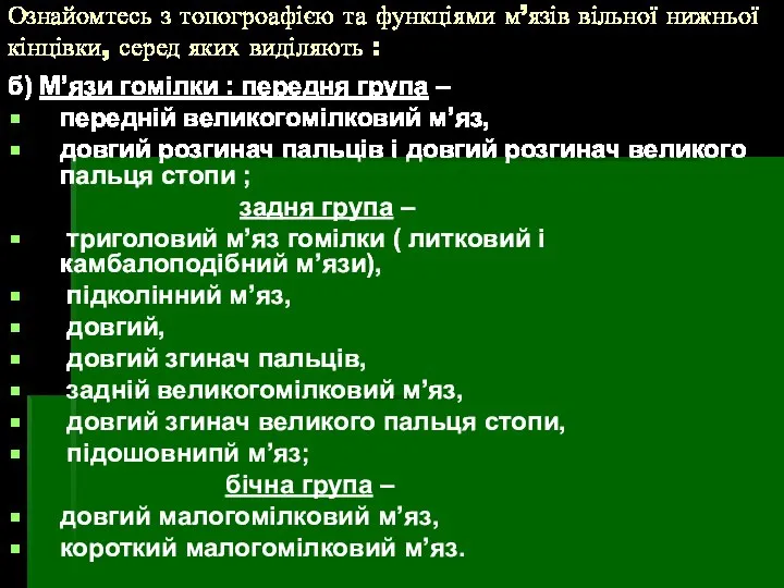 Ознайомтесь з топогроафією та функціями м’язів вільної нижньої кінцівки, серед яких