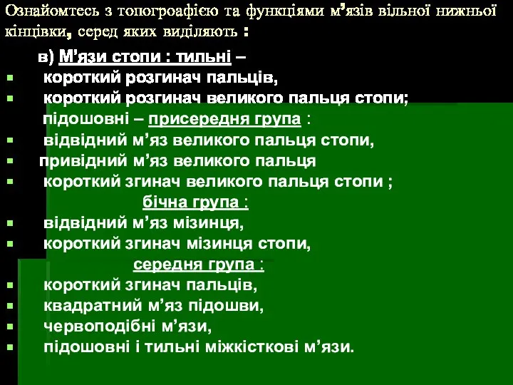 Ознайомтесь з топогроафією та функціями м’язів вільної нижньої кінцівки, серед яких