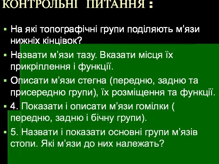 КОНТРОЛЬНІ ПИТАННЯ : На які топографічні групи поділяють м’язи нижніх кінцівок?