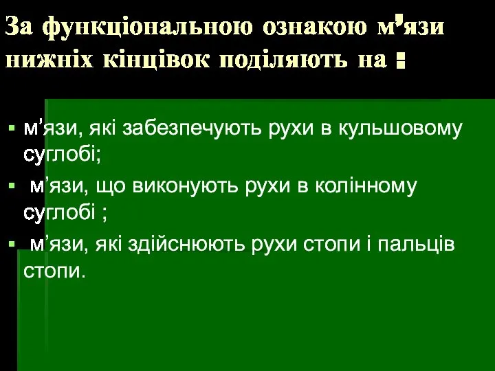 За функціональною ознакою м’язи нижніх кінцівок поділяють на : м’язи, які