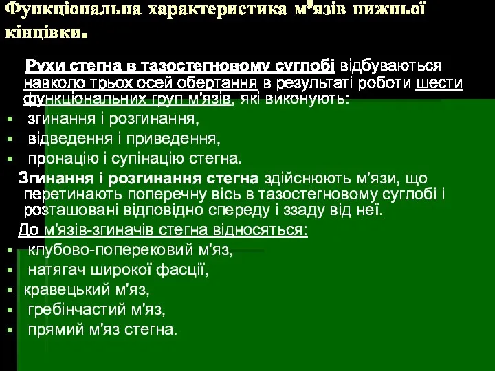 Функціональна характеристика м’язів нижньої кінцівки. Рухи стегна в тазостегновому суглобі відбуваються