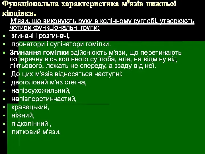 Функціональна характеристика м’язів нижньої кінцівки. М'язи, що виконують рухи в колінному