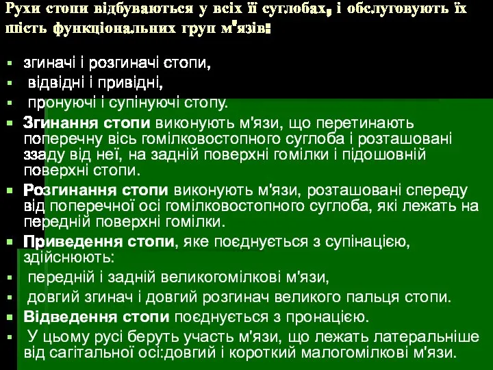 Рухи стопи відбуваються у всіх її суглобах, і обслуговують їх шість