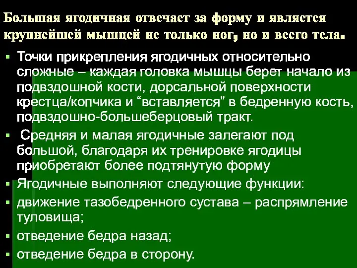 Большая ягодичная отвечает за форму и является крупнейшей мышцей не только