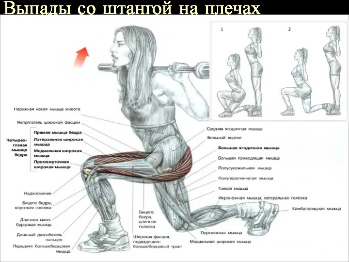 Выпады со штангой на плечах