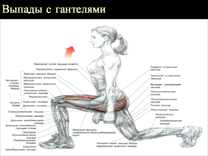 Выпады с гантелями