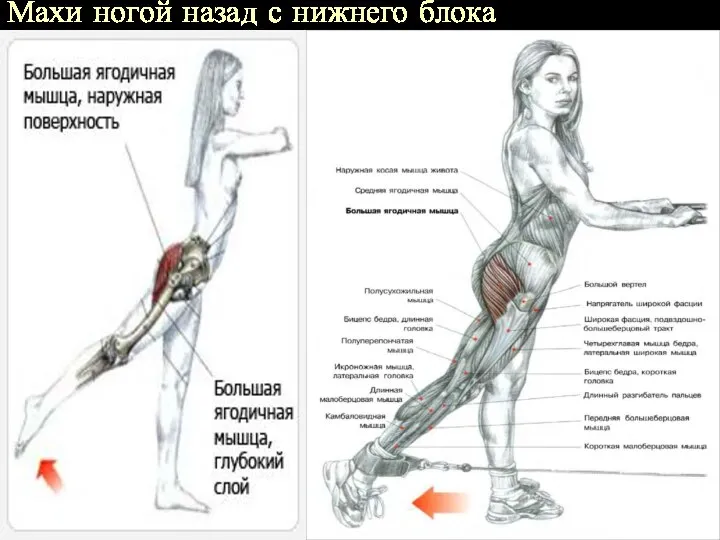 Махи ногой назад с нижнего блока