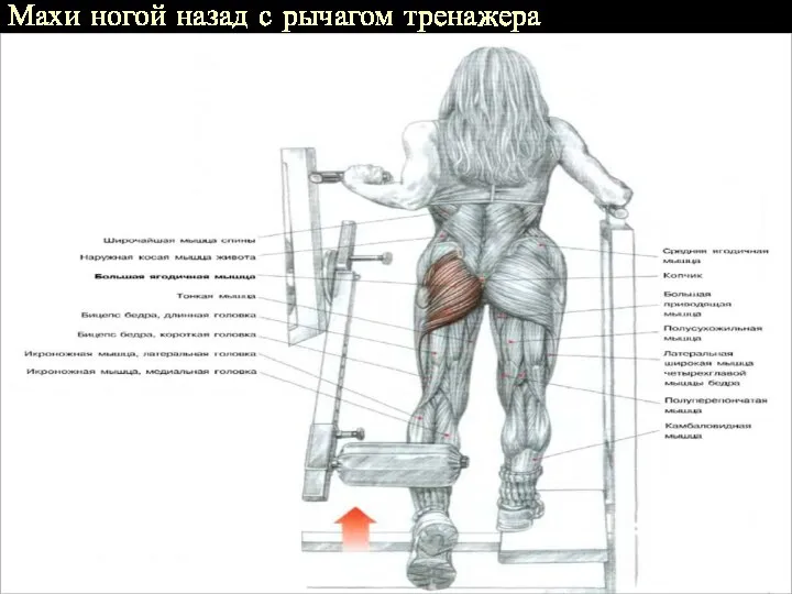 Махи ногой назад с рычагом тренажера