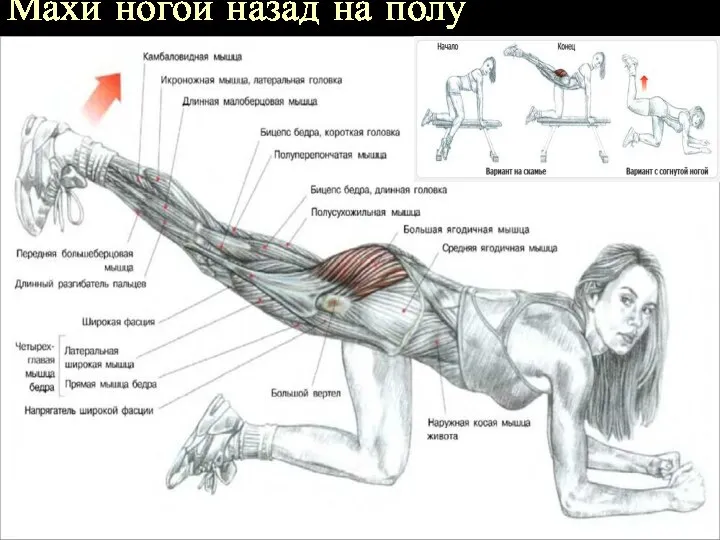 Махи ногой назад на полу