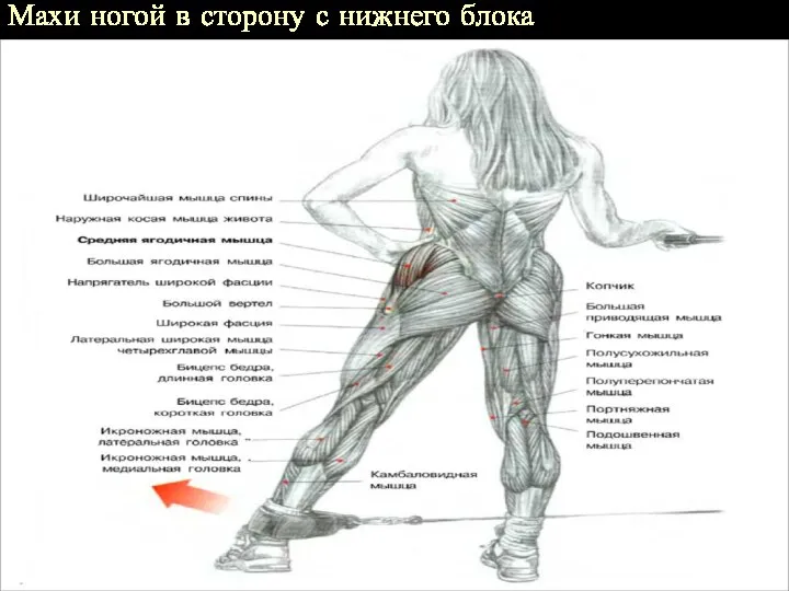 Махи ногой в сторону с нижнего блока