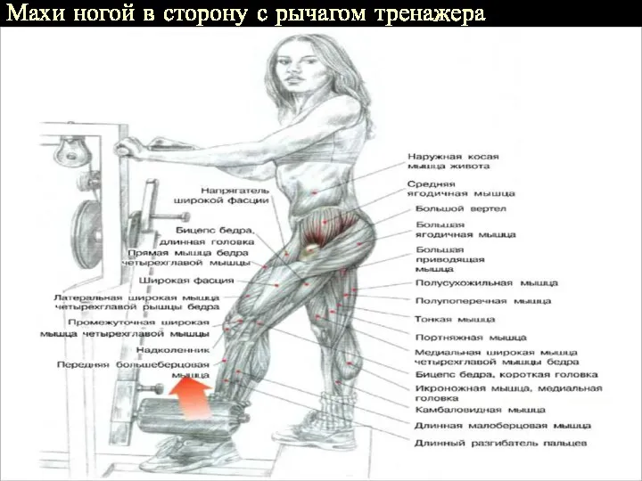 Махи ногой в сторону с рычагом тренажера