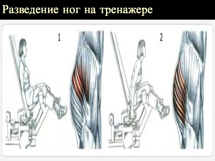 Разведение ног на тренажере