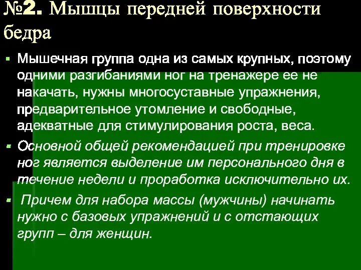 №2. Мышцы передней поверхности бедра Мышечная группа одна из самых крупных,