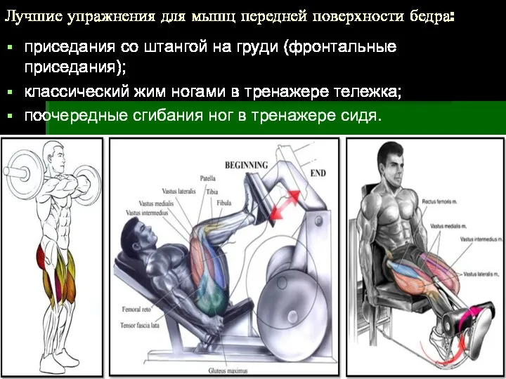 Лучшие упражнения для мышц передней поверхности бедра: приседания со штангой на