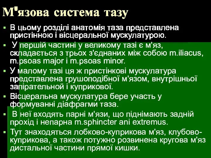 М'язова система тазу В цьому розділі анатомія таза представлена пристінною і