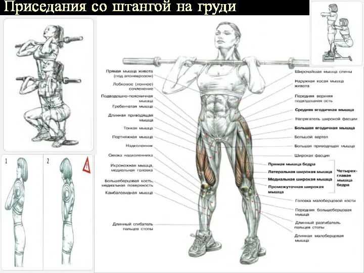 Приседания со штангой на груди