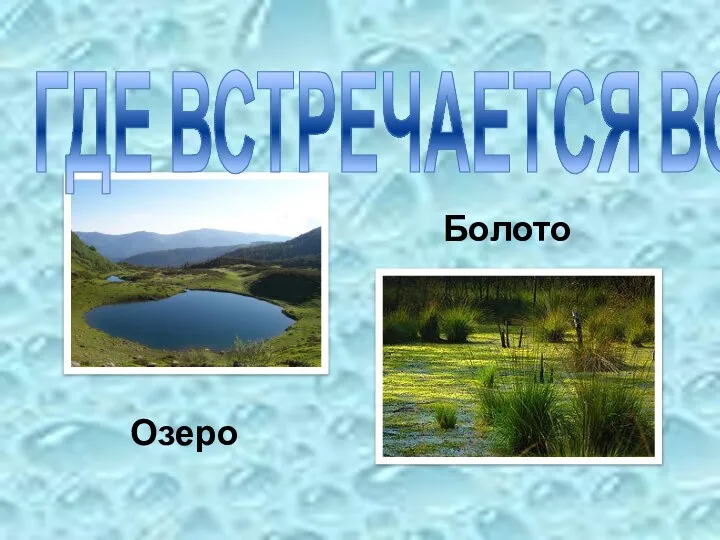 Озеро Болото ГДЕ ВСТРЕЧАЕТСЯ ВОДА