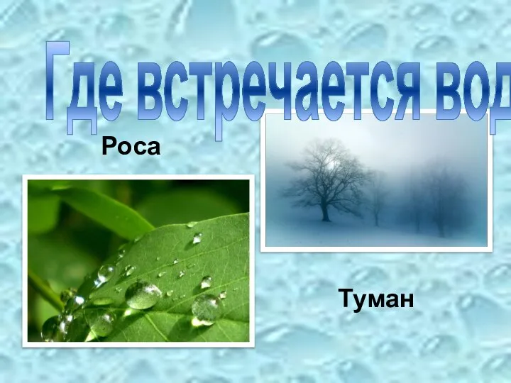 Роса Туман Где встречается вода