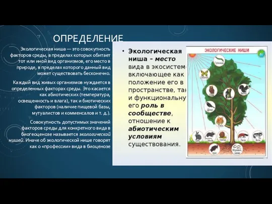 ОПРЕДЕЛЕНИЕ Экологическая ниша — это совокупность факторов среды, в пределах которых