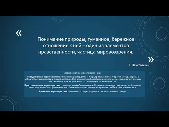 Понимание природы, гуманное, бережное отношение к ней – один из элементов