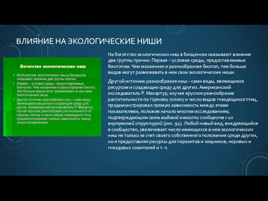 ВЛИЯНИЕ НА ЭКОЛОГИЧЕСКИЕ НИШИ На богатство экологических ниш в биоценозе оказывают