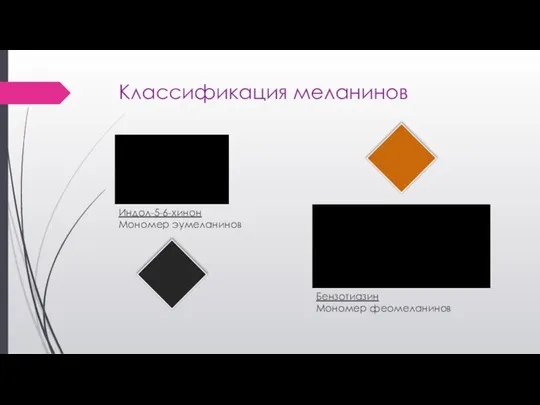 Классификация меланинов Индол-5-6-хинон Мономер эумеланинов Бензотиазин Мономер феомеланинов