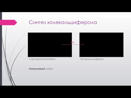 Синтез холекальциферола 7-дегидрохолестерол Холекальциферол hν Локализация: кожа