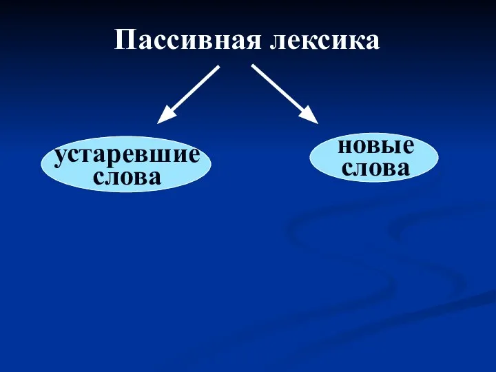 Пассивная лексика устаревшие слова новые слова