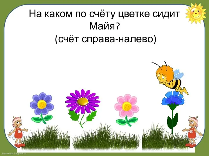 На каком по счёту цветке сидит Майя? (счёт справа-налево)