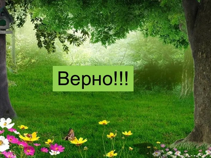 Верно!!!