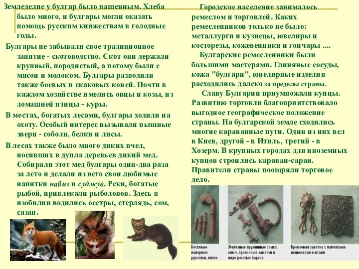 Земледелие у булгар было пашенным. Хлеба было много, и булгары могли