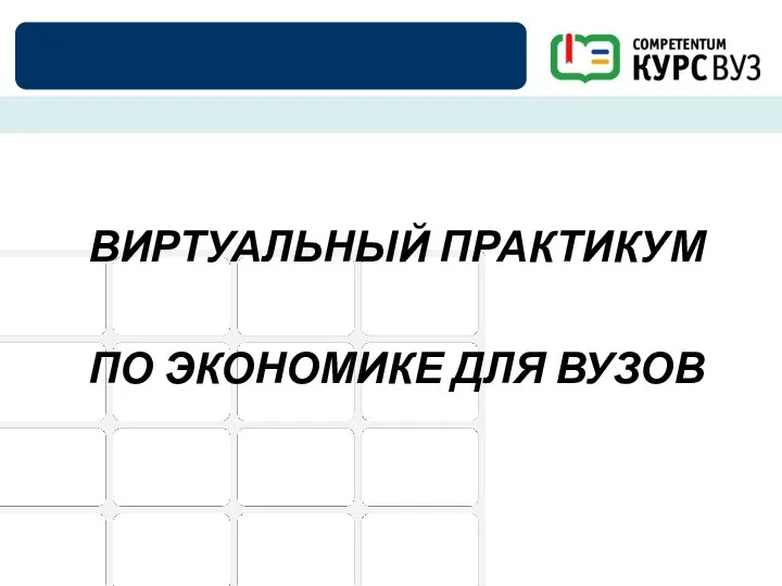 ВИРТУАЛЬНЫЙ ПРАКТИКУМ ПО ЭКОНОМИКЕ ДЛЯ ВУЗОВ