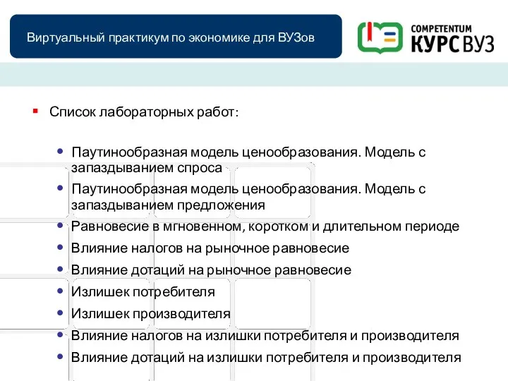 Виртуальный практикум по экономике для ВУЗов Список лабораторных работ: Паутинообразная модель