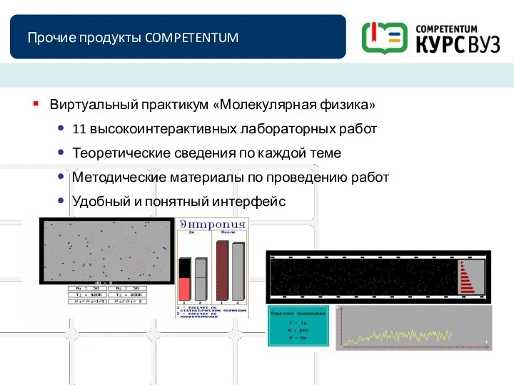 Прочие продукты COMPETENTUM Виртуальный практикум «Молекулярная физика» 11 высокоинтерактивных лабораторных работ