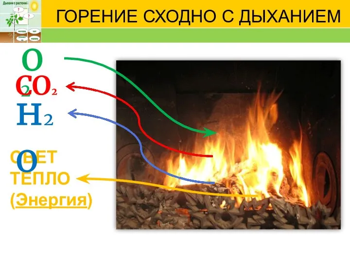 ГОРЕНИЕ СХОДНО С ДЫХАНИЕМ СВЕТ ТЕПЛО (Энергия) о2 СО2 н2о