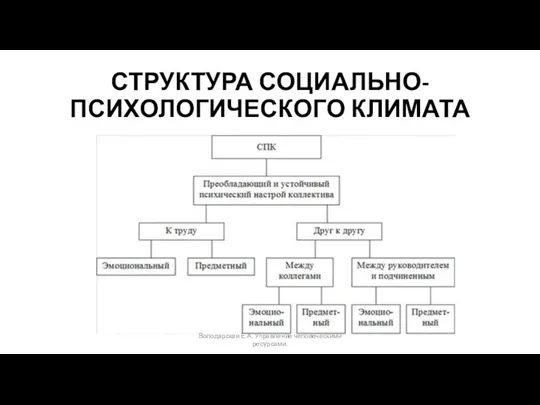 СТРУКТУРА СОЦИАЛЬНО-ПСИХОЛОГИЧЕСКОГО КЛИМАТА Володарская Е.А. Управление человеческими ресурсами.