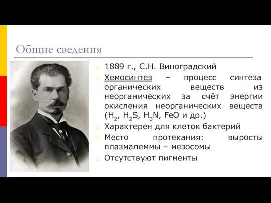 Общие сведения 1889 г., С.Н. Виноградский Хемосинтез – процесс синтеза органических