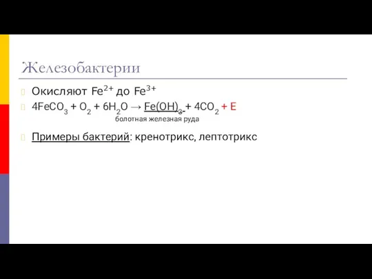 Железобактерии Окисляют Fe2+ до Fe3+ 4FeCO3 + O2 + 6H2O →