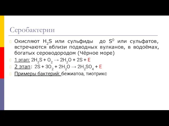 Серобактерии Окисляют Н2S или сульфиды до S0 или сульфатов, встречаются вблизи