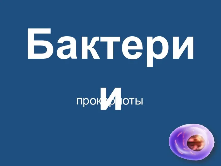 Бактерии прокариоты